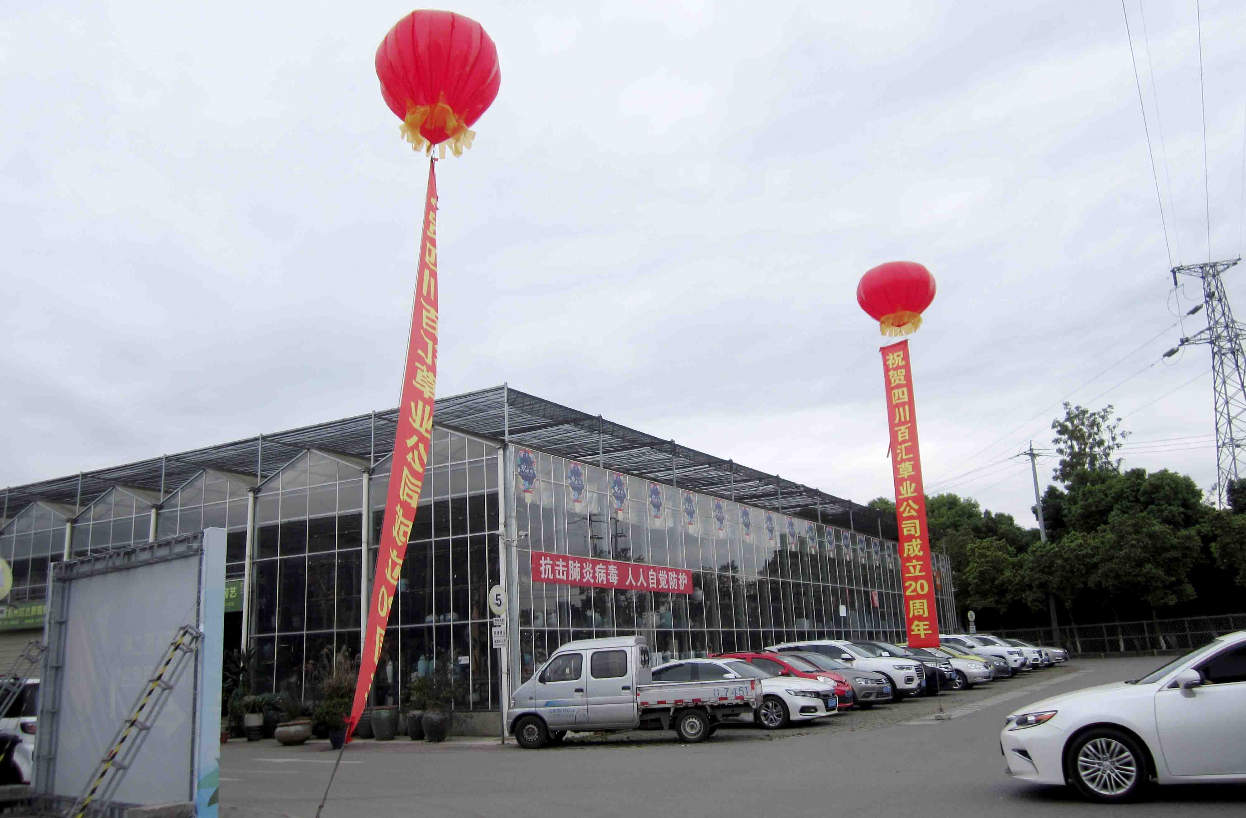四川格?；ǚN子